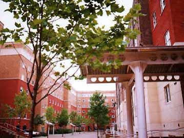 Great Dover Street Apartments London Ngoại thất bức ảnh